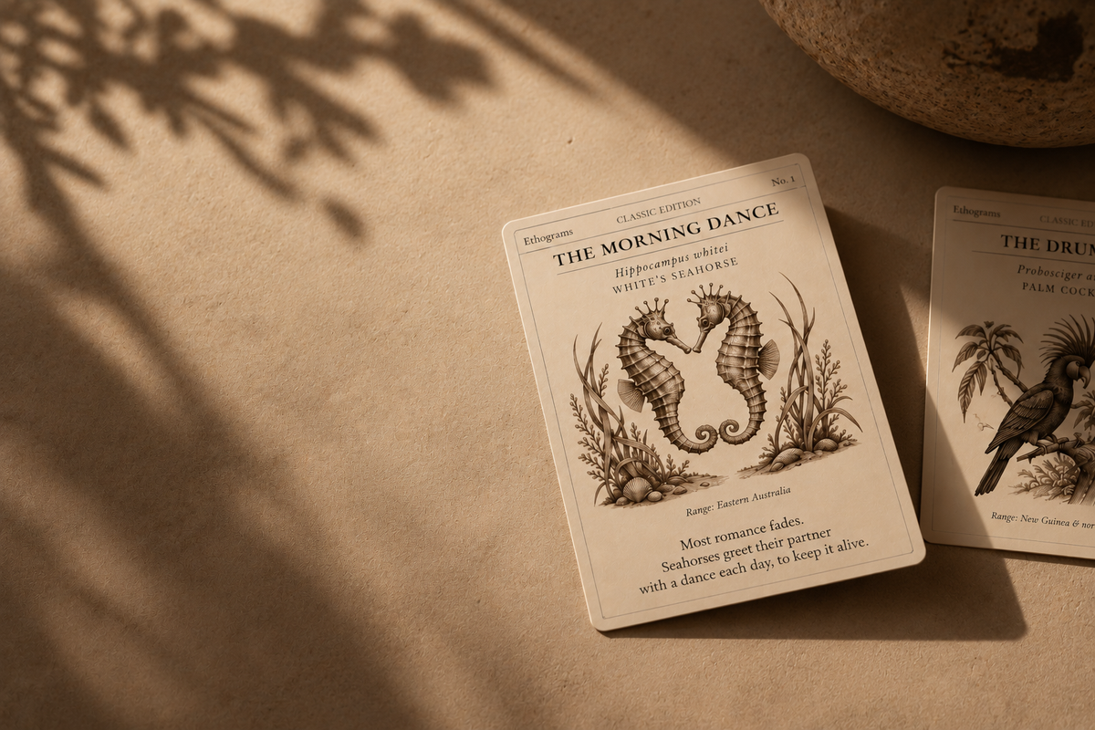 Wild stories for
slightly wild people.
