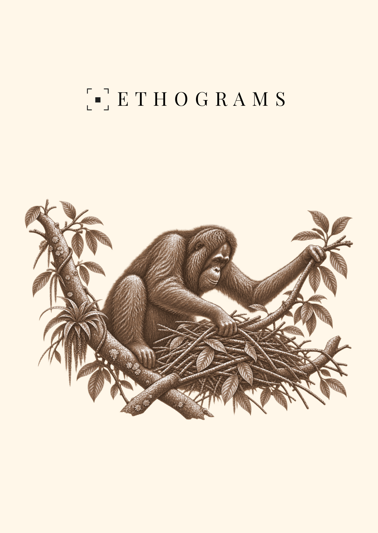 The Daily Bed — ETHOGRAMS illustrated postcard