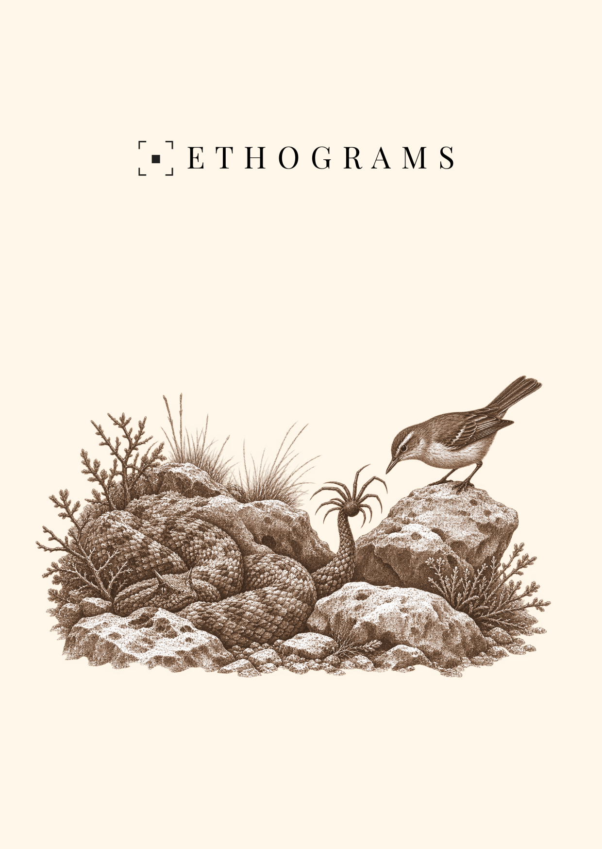 The Perfect Trap — ETHOGRAMS illustrated postcard