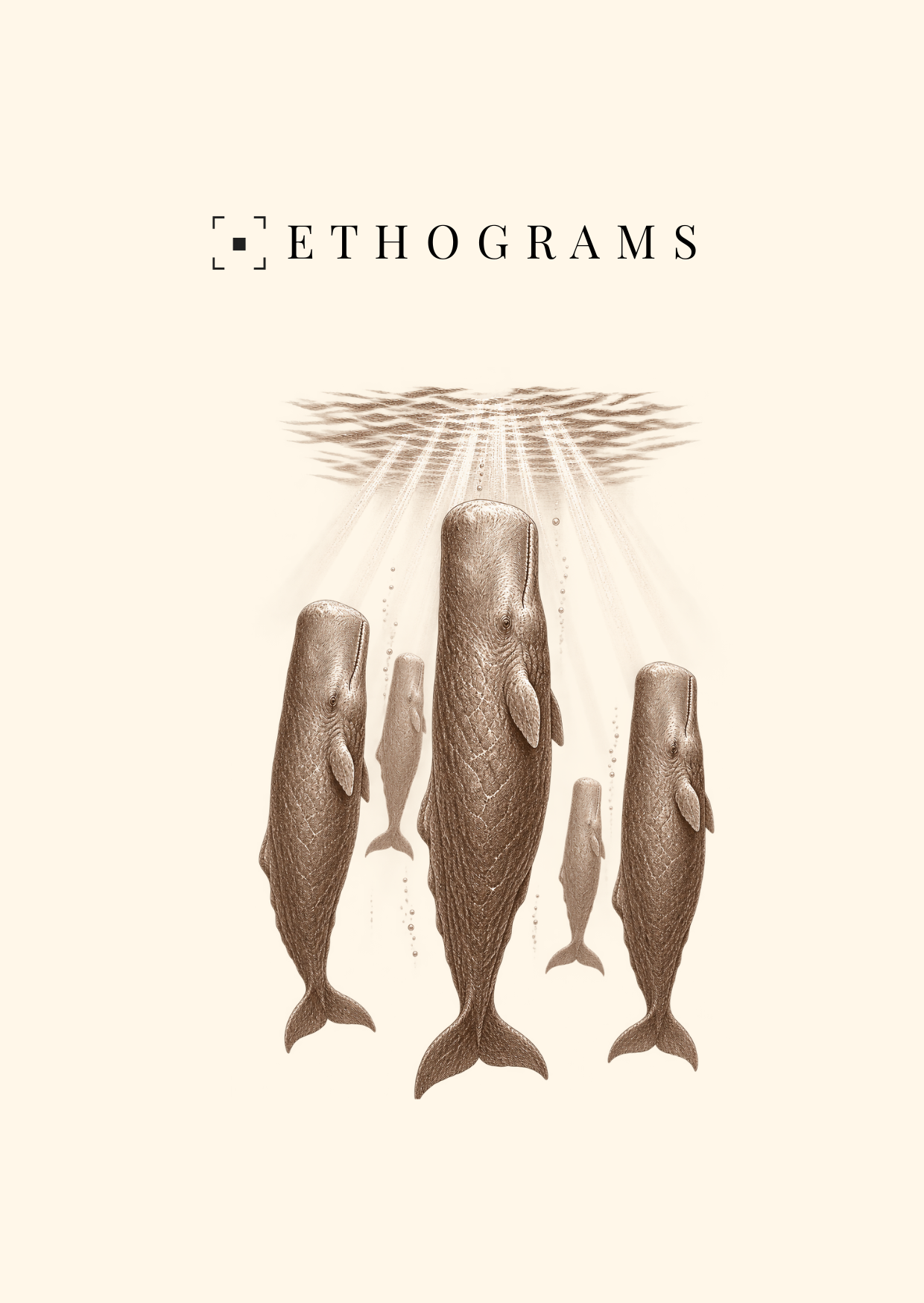 The Deep Sleep — ETHOGRAMS illustrated postcard