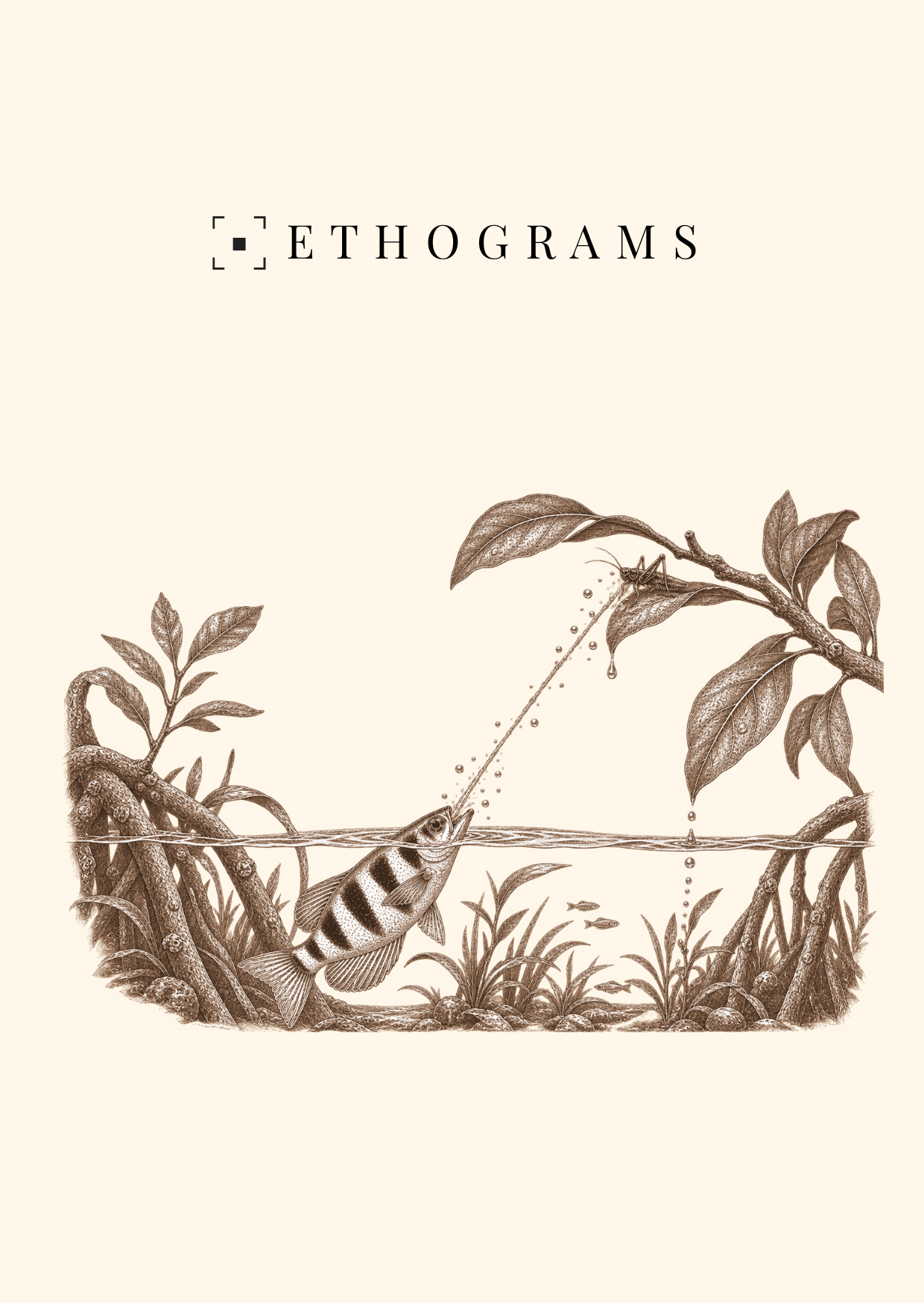 The Perfect Shot — ETHOGRAMS illustrated postcard