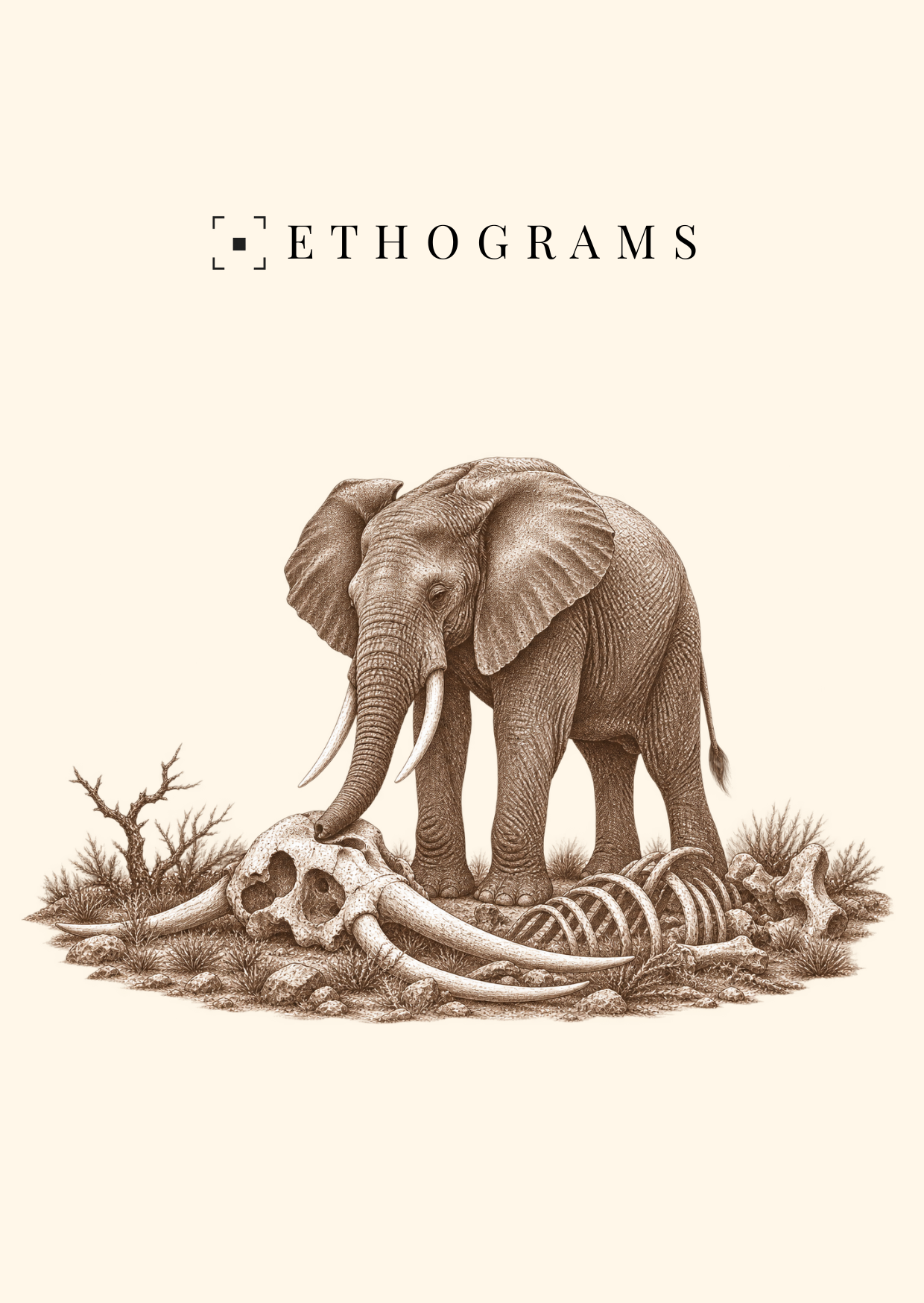 The Vigil — ETHOGRAMS illustrated postcard