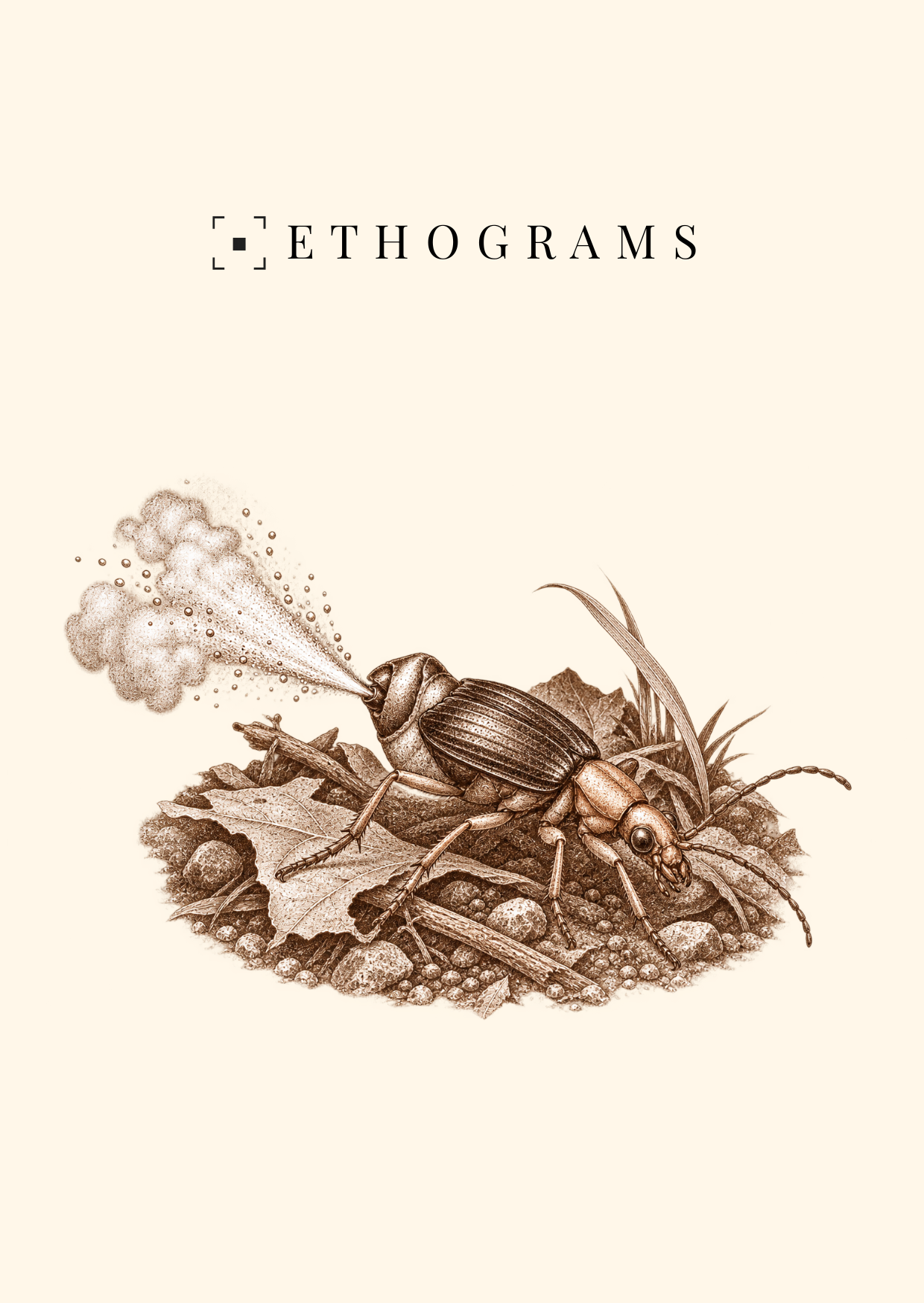 The Backfire — ETHOGRAMS illustrated postcard