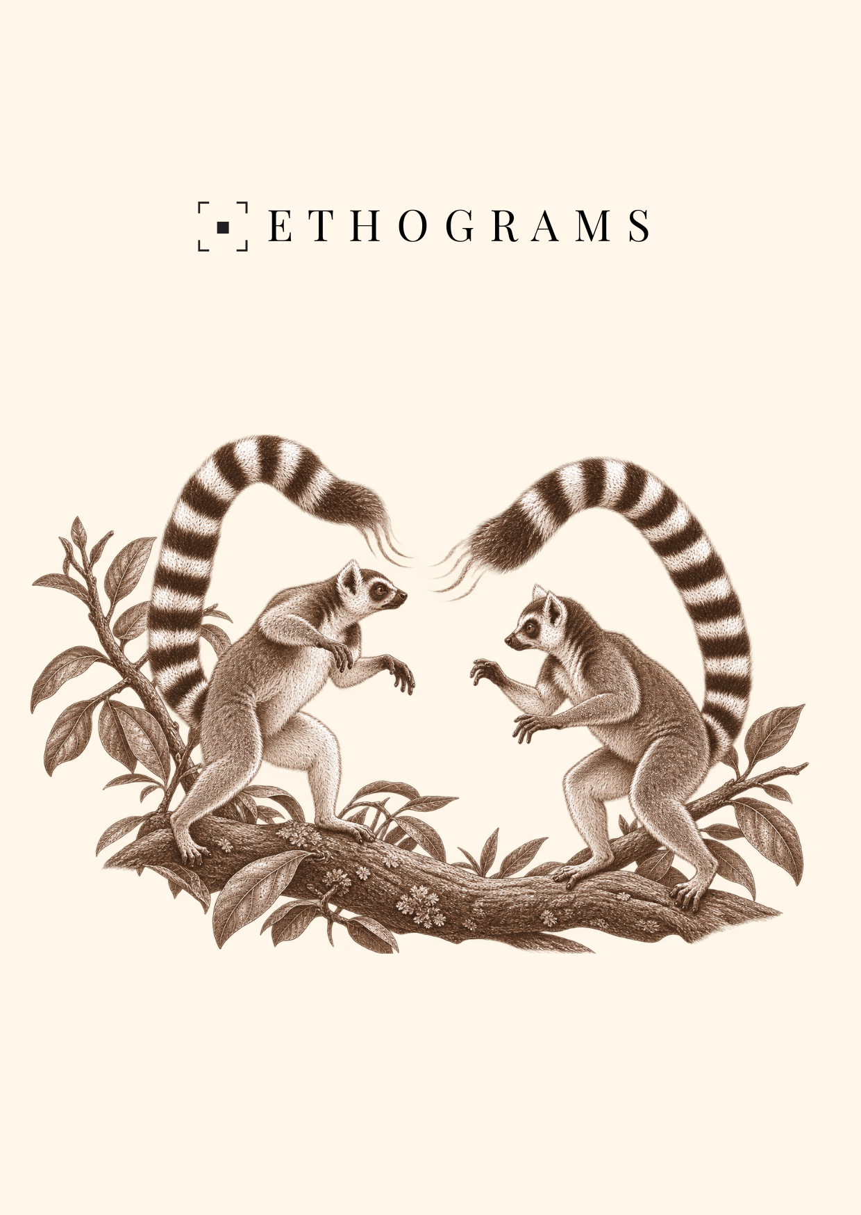 The Stink Fight — ETHOGRAMS illustrated postcard